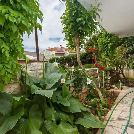 Apartments Dora Apartment *