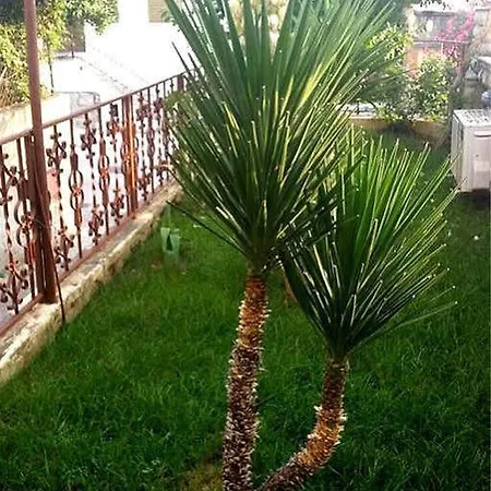 شقة Dora
